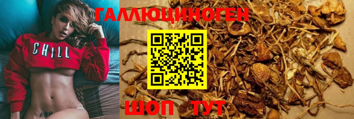 Кандалакша  Галлюциногенные грибы мухоморы  Вход с VPN 